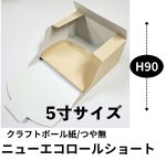 画像1: ニューエコロールショート　5寸（爪なしトレー付）@1枚あたり45.08円 (1)